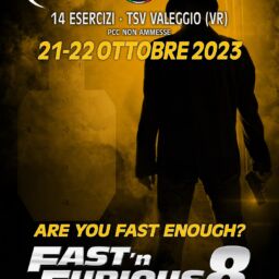 Locandina Fast 8